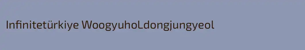 Infinitetürkiye WoogyuhoLdongjungyeol